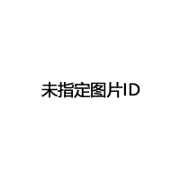 100%人发假发